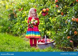 Image result for Cent Air Girl Picking Fruit