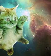 Image result for Cat Laser Cartoon