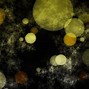 Image result for Photoshop Textures Abstract