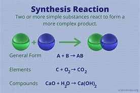 Image result for Synthesis Reaction
