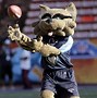 Image result for Tennessee Titans Mascot