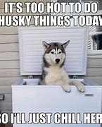 Image result for Newest Funny Husky Meme