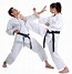 Image result for Best Karate