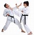 Image result for Karate at Home