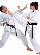 Image result for Picture of Someone Doing Karate