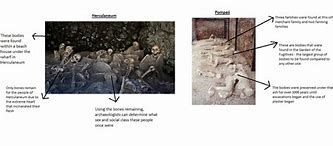 Image result for Herculaneum Bodies