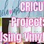Image result for Cricut Oversized Vinyl Projects
