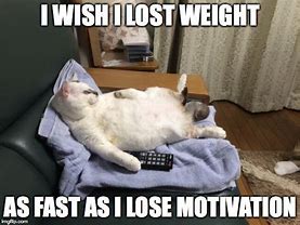 Image result for You Don't Need to Lose Weight Meme