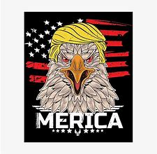 Image result for Trump Eagle Logo