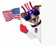 Image result for American Dog USA Falg