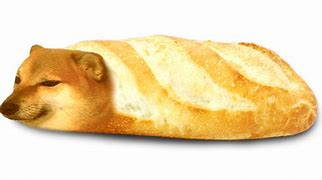 Image result for Cheems Bread Meme