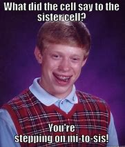 Image result for Molecular Biology Memes