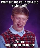 Image result for No Cell in My Brain Biology Memes