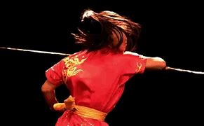 Image result for Kung Fu Moves