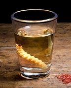 Image result for Tequila Jose Cuervo Worm