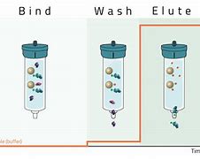 Image result for His-tagged Protein Purification