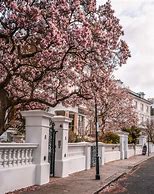 Image result for Spring in London