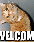 Image result for Hello and Welcome Meme