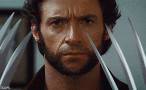 Image result for Wolverine Looking at Photo Meme