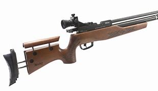 Image result for 10 Meter Air Rifle