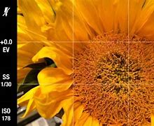 Image result for iPhone Camera Basics