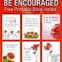 Image result for Sets of Cards with Double Pictures From the Bible