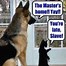 Image result for Cute Cat and Dog Memes
