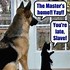 Image result for Funny Cat and Dog Memes