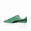 Image result for Puma Suede Classic XXI Green