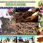 Image result for adotnamiento