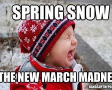 Image result for Spring Funny Winter Memes