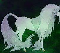 Image result for Male Unicorn