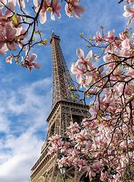 Image result for Eiffel Tower Spring