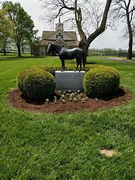 Image result for Seattle Slew Sean Faust Art