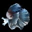 Image result for iPhone 6s Fish