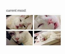 Image result for Switching Mood Meme