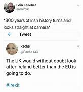 Image result for Irexit Memes