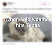 Image result for Meme of Texas First Cold Weather