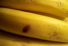 Image result for Bruised Banana Birthday
