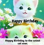Image result for Beautiful Cat Happy Birthday