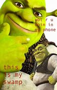 Image result for Hold the Phone Shrek Meme