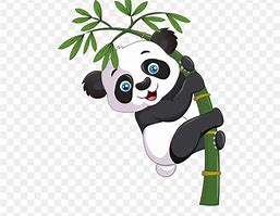 Image result for Bamboo Panda Cartoon