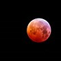 Image result for Blood Moon Forest