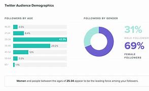 Image result for Twitter Analytics Demographics