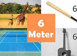 Image result for How Long Is 6 Meters