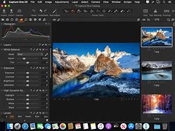 Image result for Capture One Pro 22