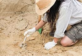 Image result for Archaeology
