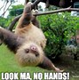 Image result for Happy Sloth Meme