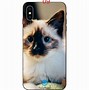 Image result for iPhone 8 Plus Cat Cases