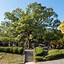 Image result for Tokyo University Autumn